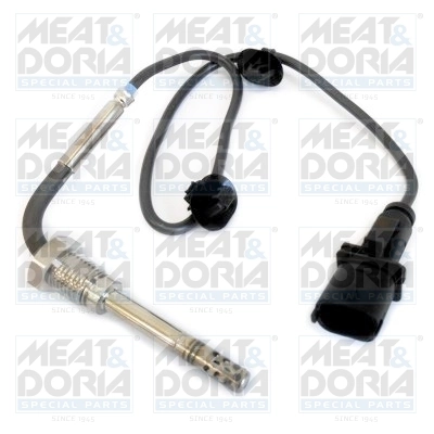 Sensor, exhaust gas temperature